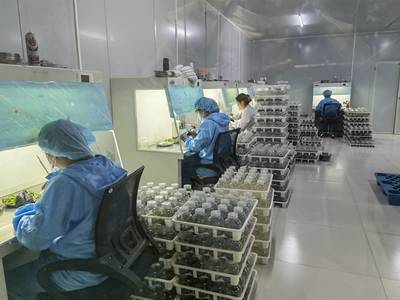 技術(shù)推廣服務(wù) 推動(dòng)創(chuàng)新落地與產(chǎn)業(yè)升級(jí)