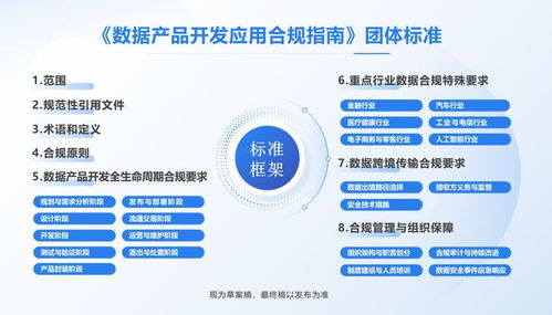 全國首部數(shù)據(jù)產(chǎn)品開發(fā)應(yīng)用合規(guī)標(biāo)準(zhǔn)即將出臺，信息技術(shù)咨詢服務(wù)助力企業(yè)合規(guī)轉(zhuǎn)型